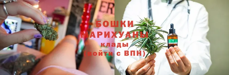 где купить наркотик  Терек  Бошки Шишки OG Kush 